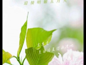 五月春天，让您的生活如春天般美好