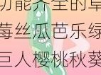 功能齐全的草莓丝瓜芭乐绿巨人樱桃秋葵粉色 2023