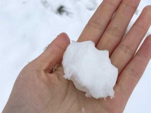 那两团雪球在他手里化了