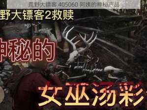 荒野大镖客 405060 阿姨的神秘产品