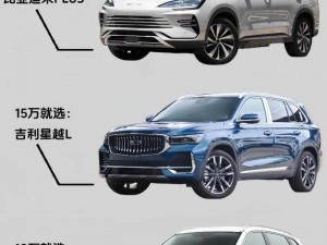 国产一级 SUV 大全妇女引热议