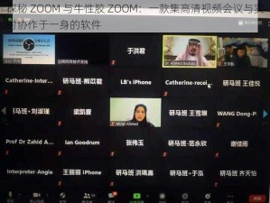 探秘 ZOOM 与牛性胶 ZOOM：一款集高清视频会议与实时协作于一身的软件