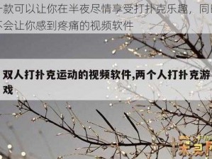 一款可以让你在半夜尽情享受打扑克乐趣，同时不会让你感到疼痛的视频软件