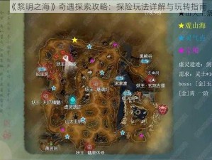 《黎明之海》奇遇探索攻略：探险玩法详解与玩转指南