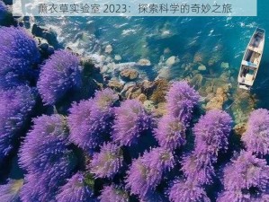 薰衣草实验室 2023：探索科学的奇妙之旅