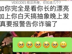 VIDEODES 极品热梗，你知道几个？