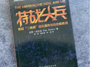 《荣誉指挥官：战略指挥与深度玩法详解》