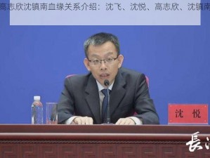 沈飞沈悦高志欣沈镇南血缘关系介绍：沈飞、沈悦、高志欣、沈镇南四人是祖孙关系