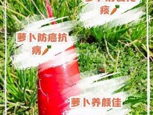 拔萝卜痛又降黄 91-萝卜上，一款让你轻松应对各种萝卜问题的神奇产品