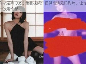 午夜福利 0855 免费视频：提供高清无码影片，让你一次看个够