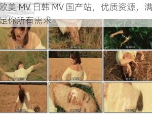 欧美 MV 日韩 MV 国产站，优质资源，满足你所有需求