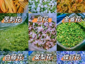 门卫吃花核心，营养丰富的天然食品