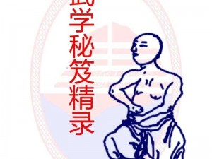 大掌门甲级弟子袁承志图鉴：江湖侠客成长历程与武学秘籍全解析