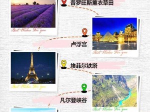 猫千杯星条旗浪漫之旅：一份独特的攻略指南