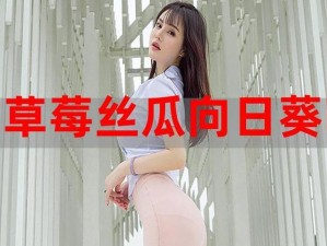 草莓香蕉榴莲丝瓜 18 岁 2023：年度网络热梗盘点