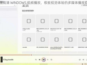 中国高清 WINDOWS 视频播放，极致视觉体验的多媒体播放软件