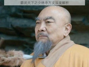 霸武天下之少林寺方丈深度解析