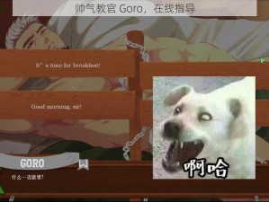 帅气教官 Goro，在线指导