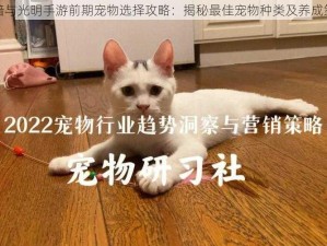 黑暗与光明手游前期宠物选择攻略：揭秘最佳宠物种类及养成策略