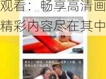 TTTZZZ668.SUV6.6.2 在线观看：畅享高清画质，精彩内容尽在其中