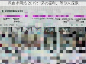 深夜求网站 2019：深夜福利，等你来探索