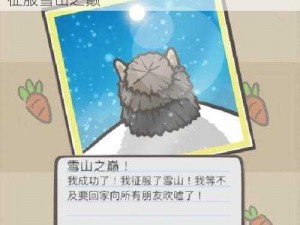 格罗亚传奇雪山试炼攻略：掌握关键打法，征服雪山之巅