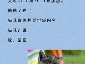 成熟猫咪最新地域网名是什么啥——一款专为猫咪设计的优质猫粮