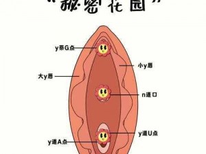 新手自 W 到高 C 教程视频：私密教学，教你成为高手