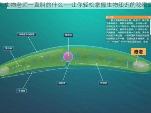 闵儿生物老师一直叫的什么——让你轻松掌握生物知识的秘密武器