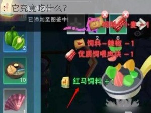 创造与魔法游戏中红马的食物秘密揭晓：它究竟吃什么？