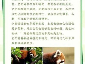 《梦幻之都：小熊猫的奇妙获取之旅》