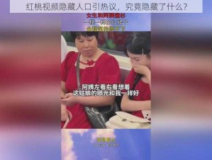 红桃视频隐藏人口引热议，究竟隐藏了什么？