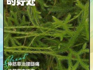 女幸在巅峰时期抽搐的原因——XX 产品的神奇功效