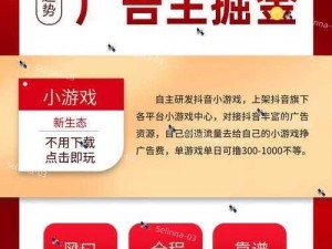 网站接入激励视频广告——提升用户体验与广告收益的绝佳选择