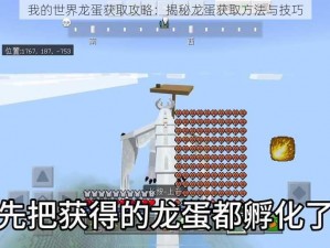 我的世界龙蛋获取攻略：揭秘龙蛋获取方法与技巧