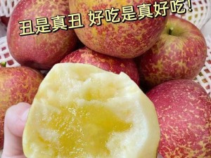 糖心官网，直击热点