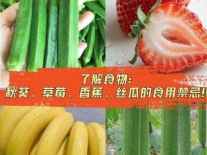 水果盛宴：草莓、茄子、秋葵、香蕉、丝瓜、榴莲一网打尽