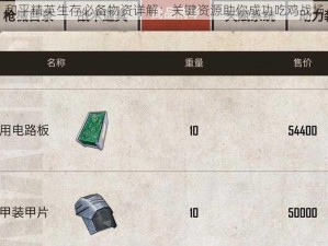 和平精英生存必备物资详解：关键资源助你成功吃鸡战场