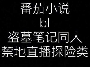 《探险者的禁地：《盗墓三番队》积尸腹地副本完全解析》