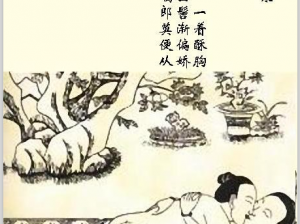 古代房中术七十二式图示，震惊