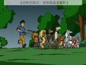 《动物历险记：宠物图鉴全解析》