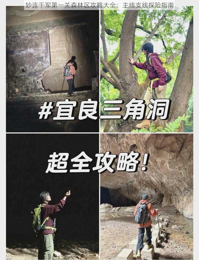 妙连千军第一关森林区攻略大全：主线支线探险指南