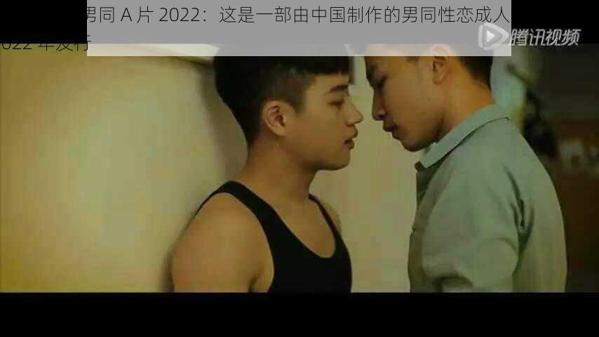 CHINAGV 男同 A 片 2022：这是一部由中国制作的男同性恋成人影片，于 2022 年发行