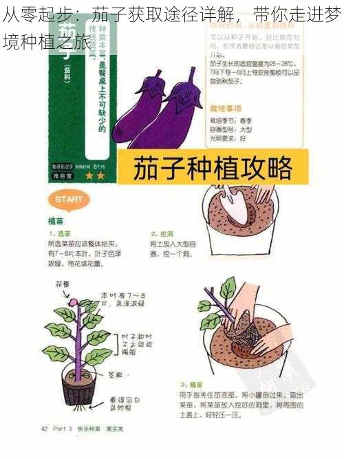 从零起步：茄子获取途径详解，带你走进梦境种植之旅