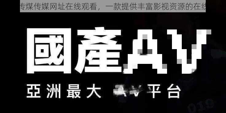 麻豆传煤传媒网址在线观看，一款提供丰富影视资源的在线平台