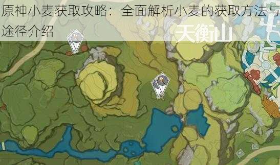 原神小麦获取攻略：全面解析小麦的获取方法与途径介绍