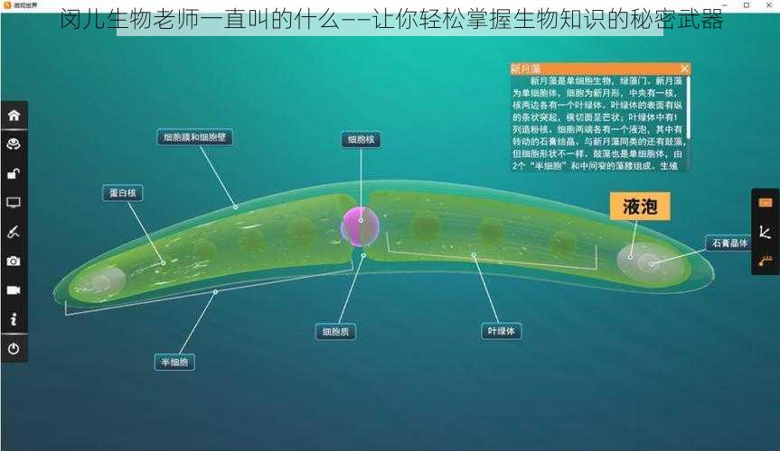 闵儿生物老师一直叫的什么——让你轻松掌握生物知识的秘密武器