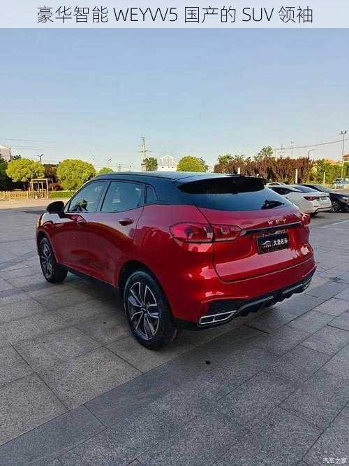 豪华智能 WEYVV5 国产的 SUV 领袖