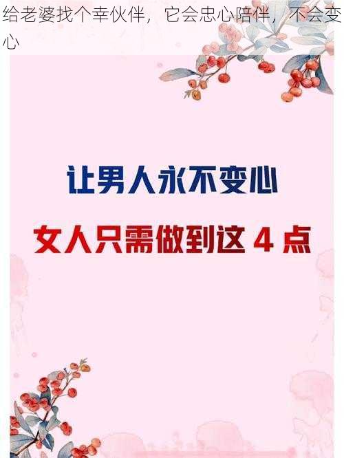 给老婆找个幸伙伴，它会忠心陪伴，不会变心