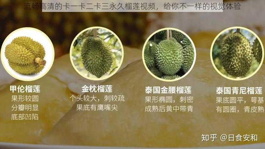 流畅高清的卡一卡二卡三永久榴莲视频，给你不一样的视觉体验